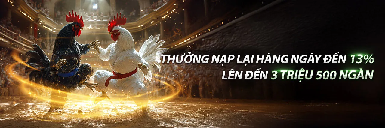 Đa dạng các loại hình cá cược và trò chơi giải trí tại c54 thể thao